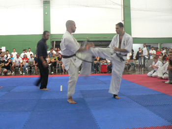 P1140299.JPG