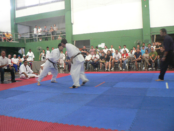 P1140300.JPG