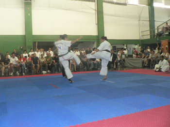 P1140324.JPG