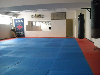 Dojo 2.JPG