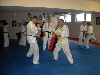 Kyokushin.JPG