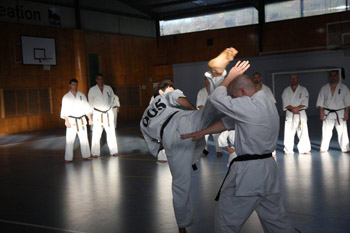 Trade Mark Garry O'Neill Block Against Anthony Tockar's Mawashi Geri.jpg