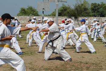 3. Forenoon trainings.jpg