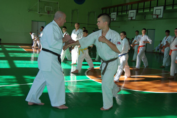 5b.jpg