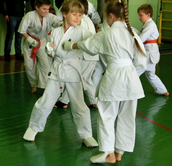 6b.jpg