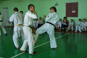 7b.jpg