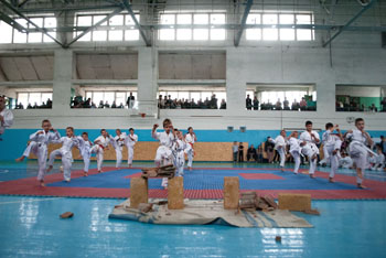 5b.jpg