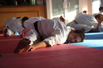 6a.jpg