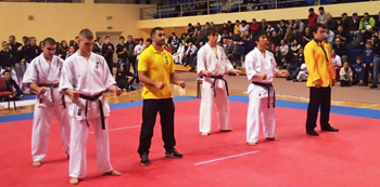 8a.jpg
