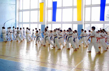 8c.jpg