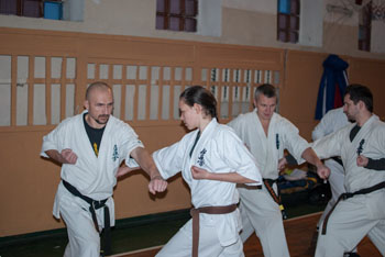 8a.jpg