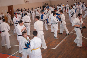 9a.jpg
