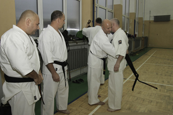 6b.jpg
