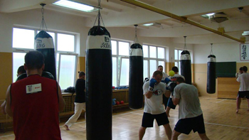 8a.jpg