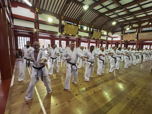 Nikko7.JPG