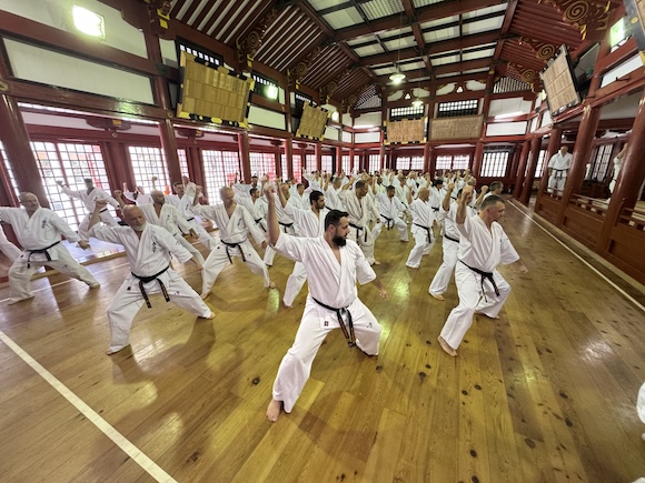 Nikko8.JPG