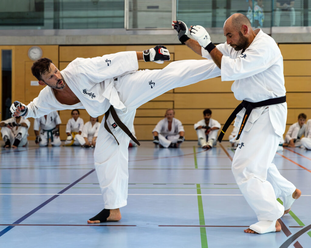 Karate Kyokushin - 9th Swiss Summer Camp